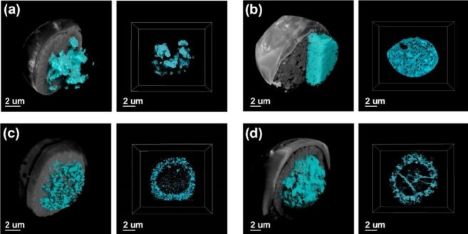 1671092994405.png 007.png