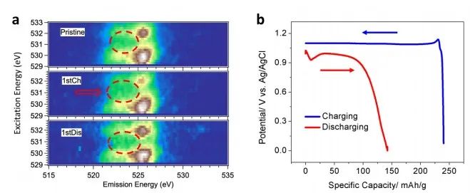 1693358305707.jpg 004.jpg