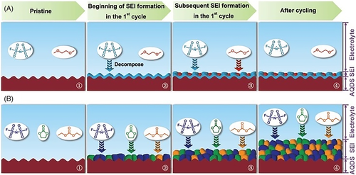 eom212246-fig-0011-m.png