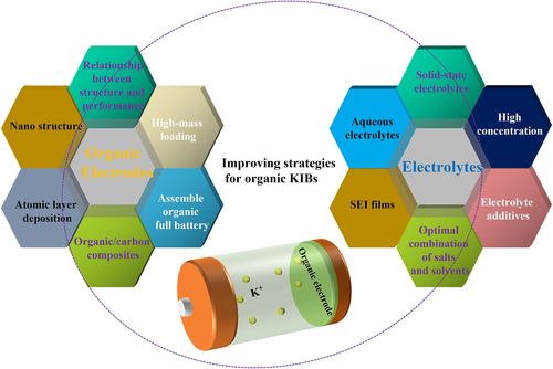 eom212246-fig-0014-m.png