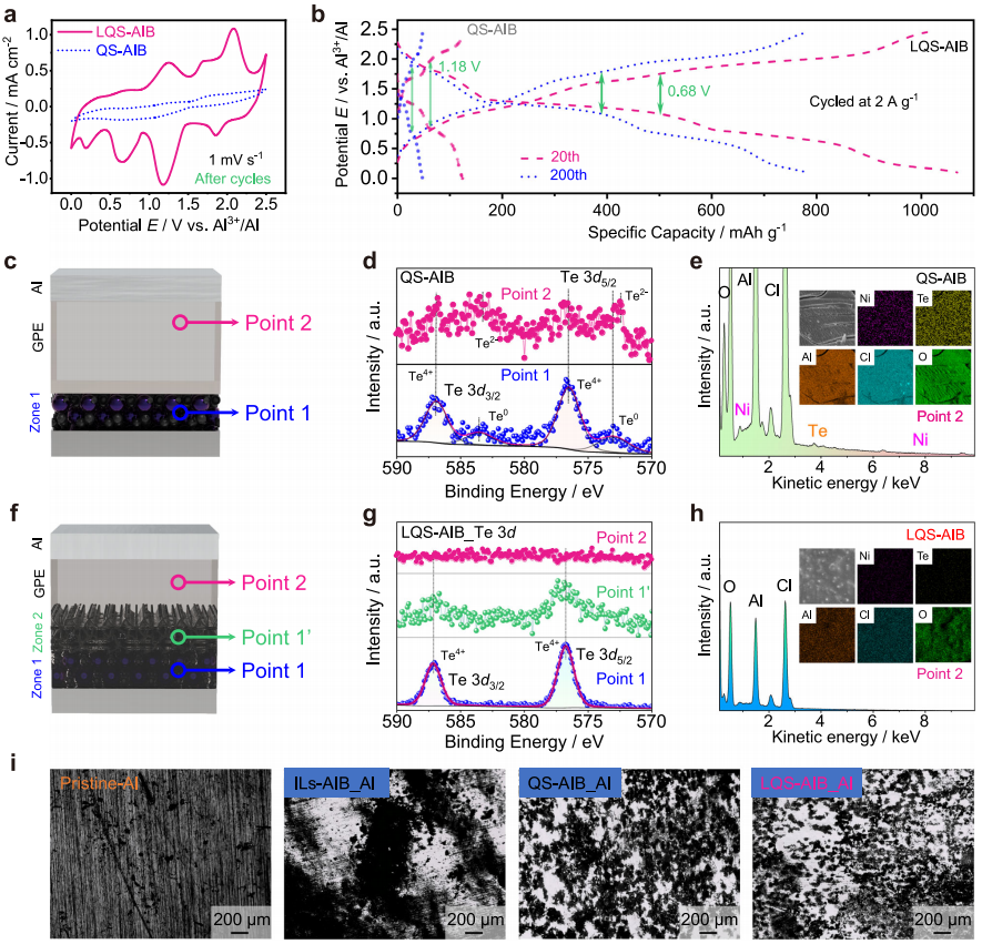 1702951723590.png 005.png