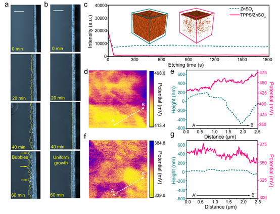 1702953066219.png 005.png