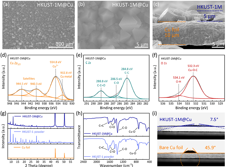 1733192056337.png b.png