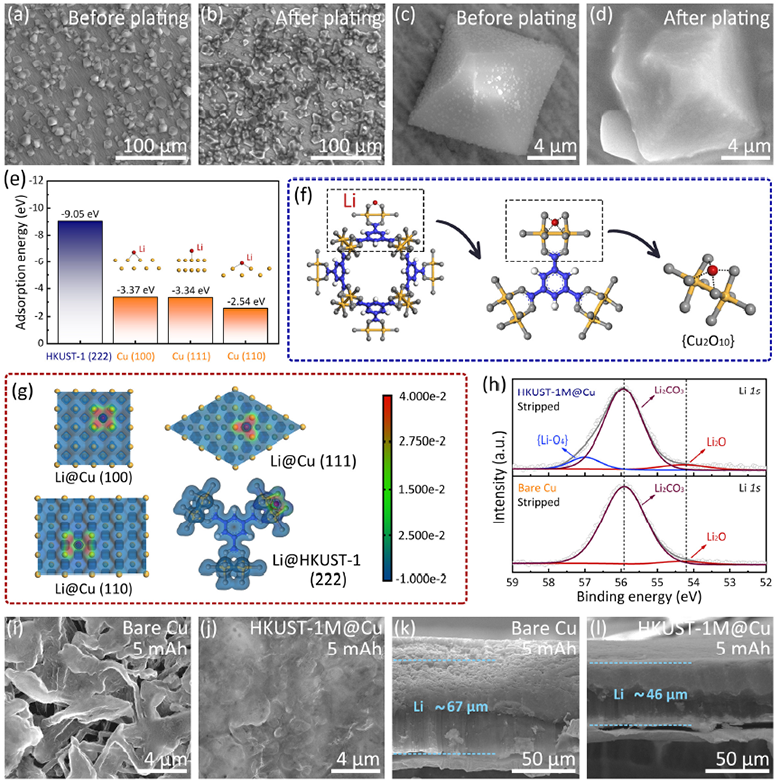 1733192175489.png d.png