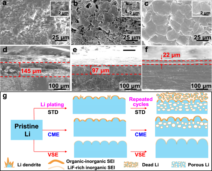 1733968200175.png 4.png