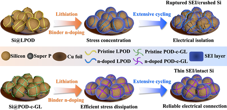 1734486160350.png a.png