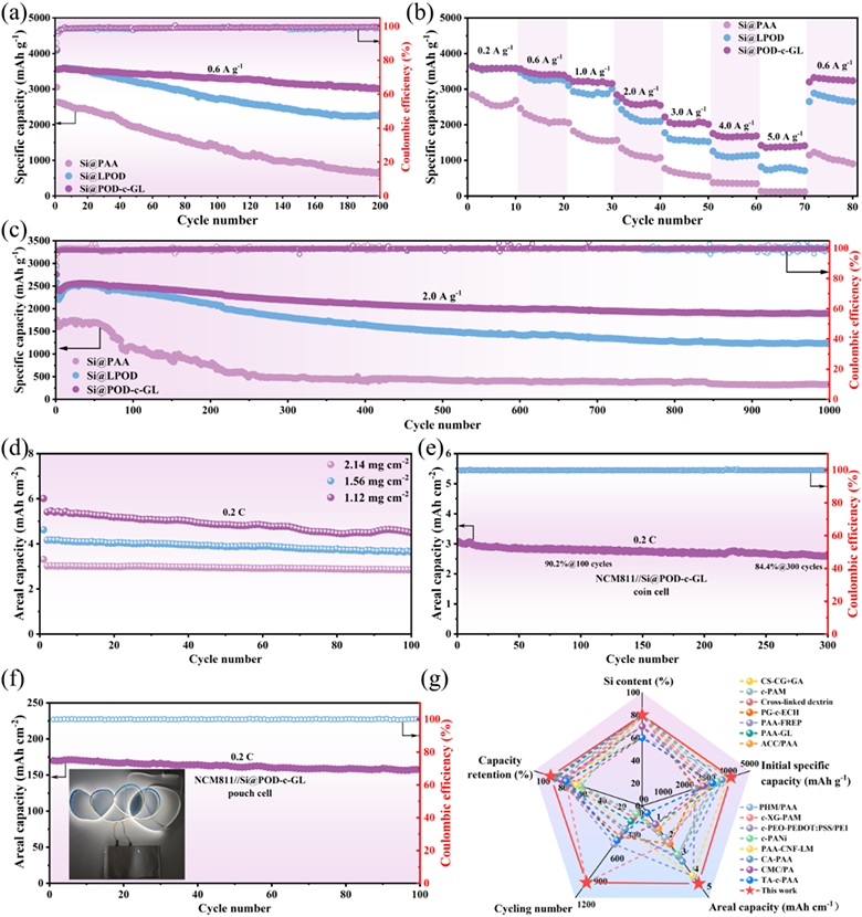 1734486257461.png e.png