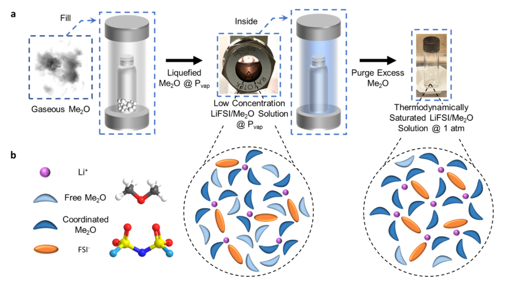 1734573325601.png 1.png