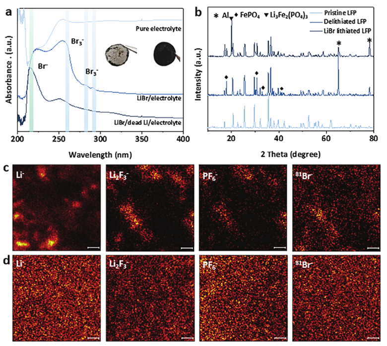 1735177583789.png c.png