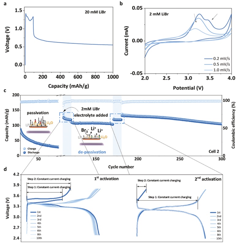 1735177620976.png e.png