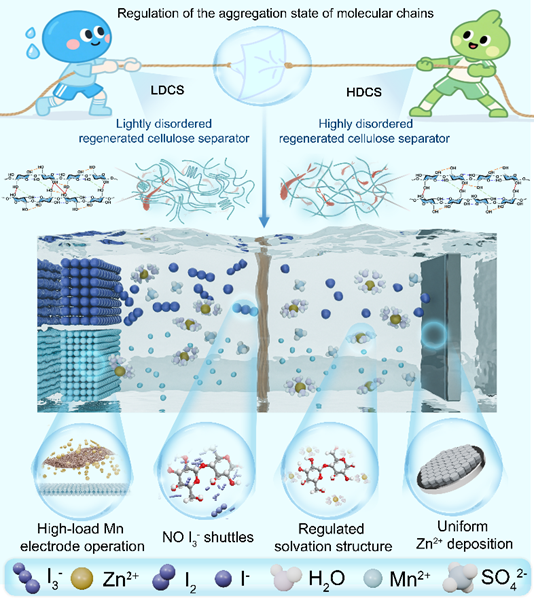 1761701491054.png 01.png