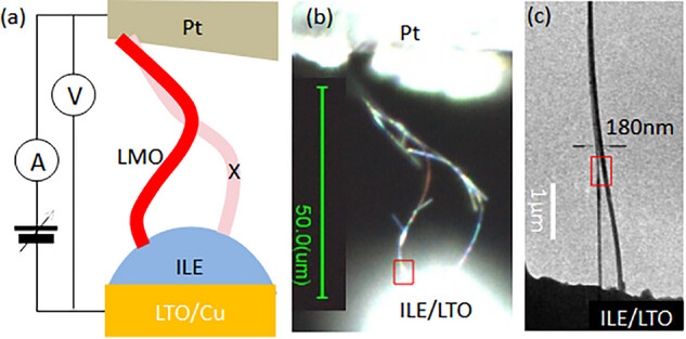 1762392281318.png 4.png