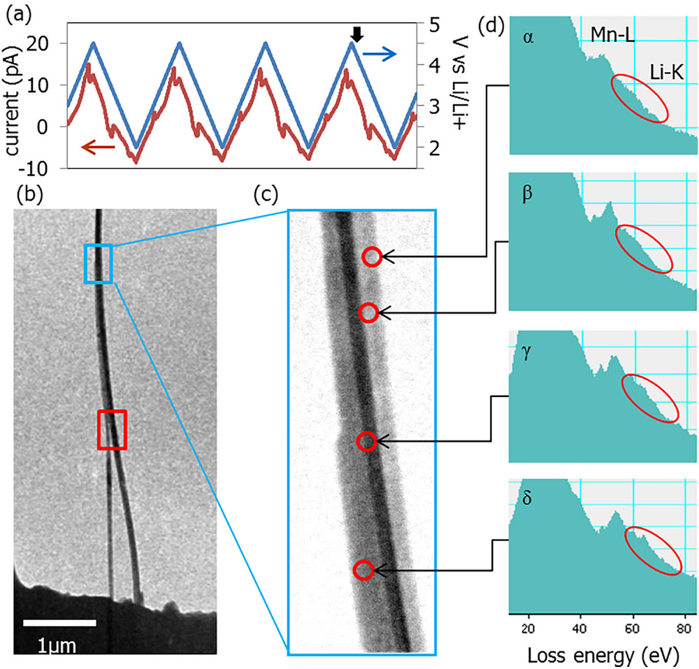 1762392402308.png 7.png