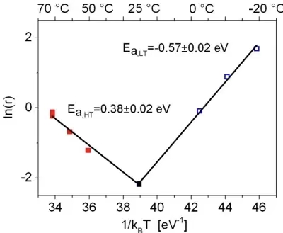 1762994962219.jpg 3.jpg