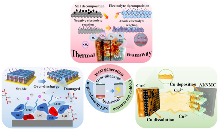 1763339912640.png 1.png