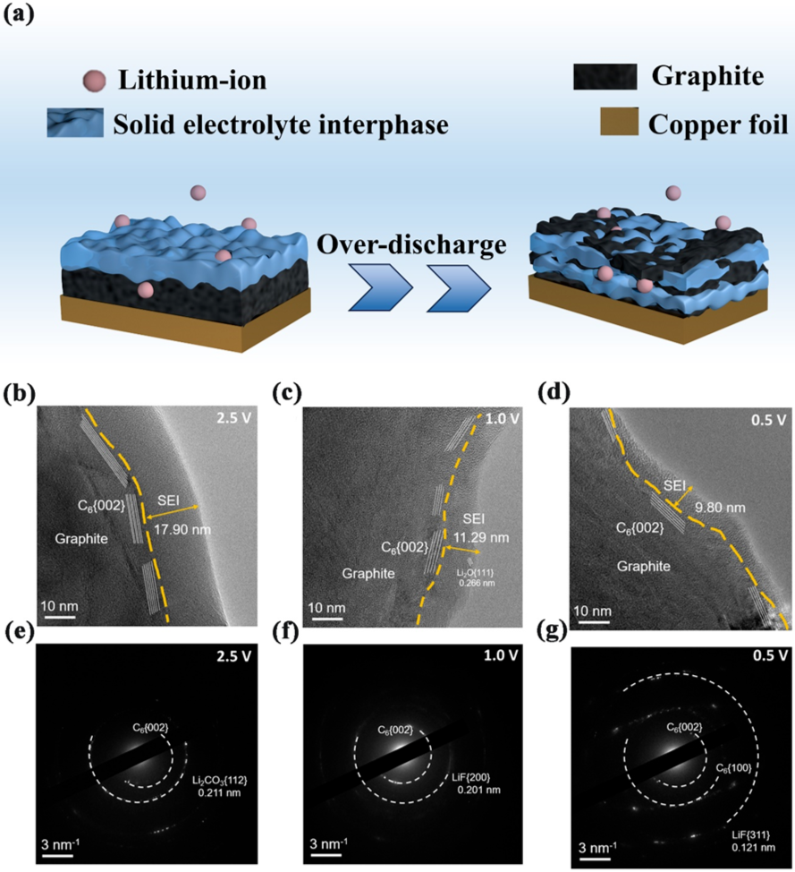 1763339941135.png 2.png