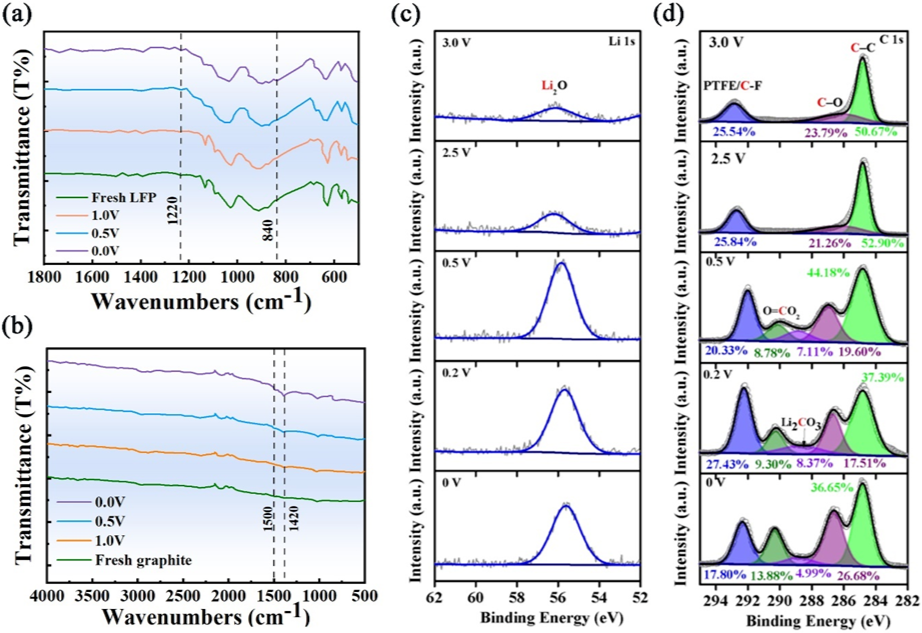 1763339968899.png 3.png