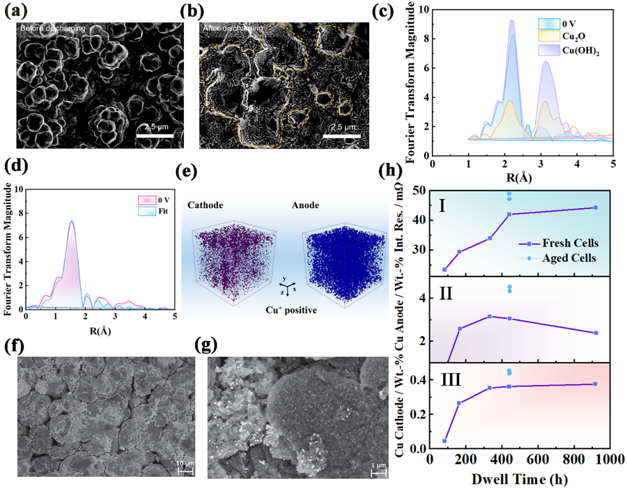 1763340086839.png 4.png