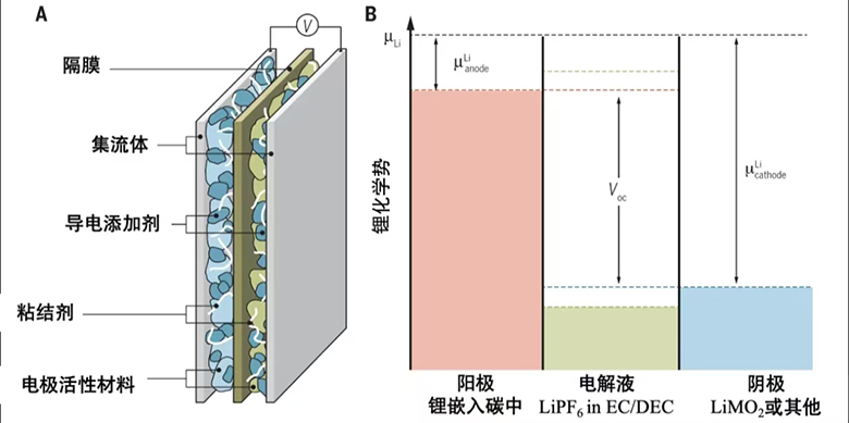 1763341219651.jpg 11.jpg