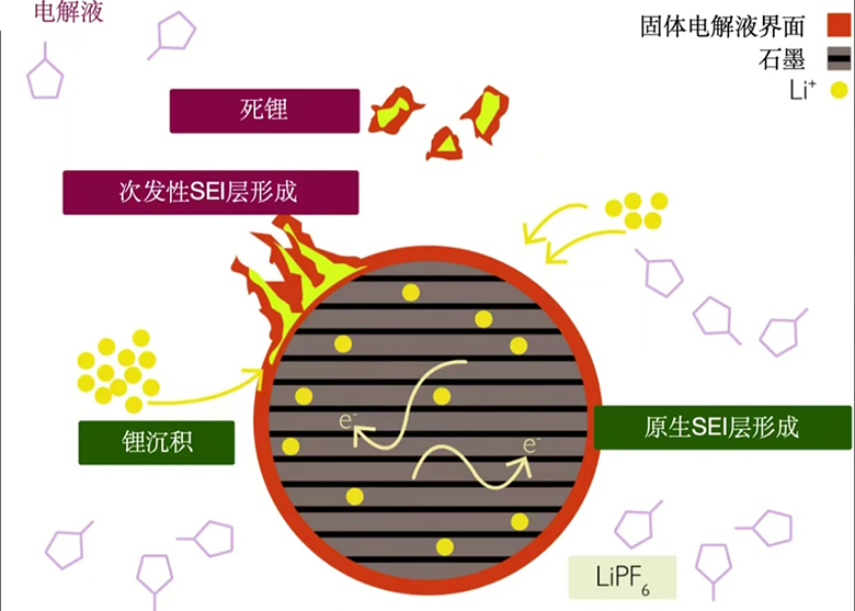 1763341336457.jpg 12.jpg