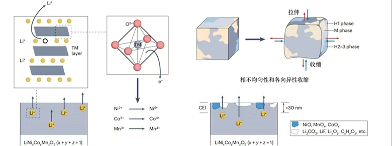 1763341368701.jpg 13.jpg