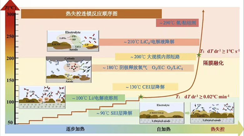 1763341432774.jpg 14.jpg