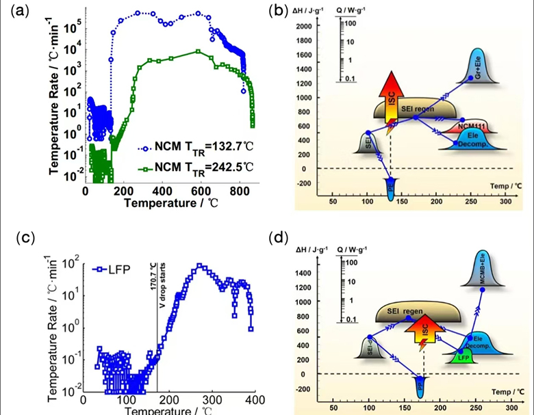 1763341514603.jpg 16.jpg