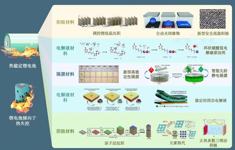 1763341555453.jpg 17.jpg