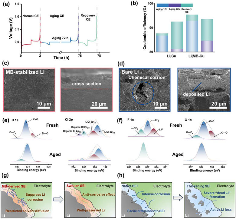 1768351689438.png 03.png