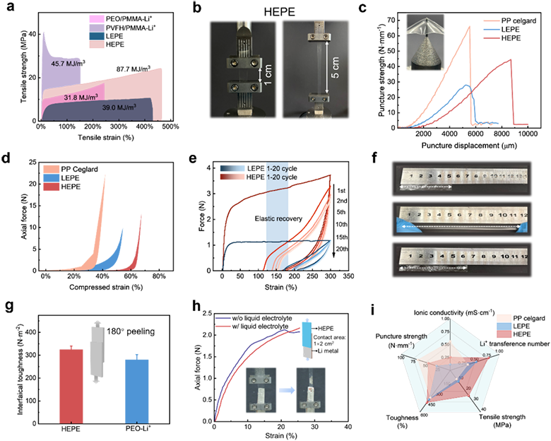 1769561012474.png 04.png